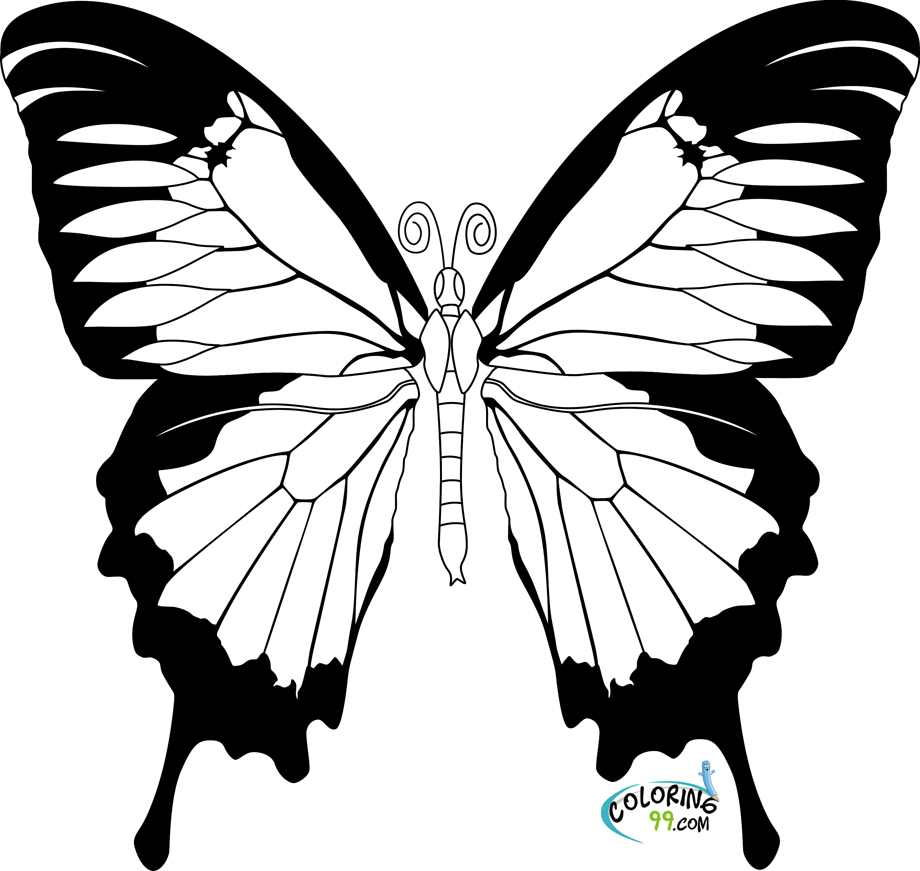 Coloriage d'un papillon délicat sur fond floral