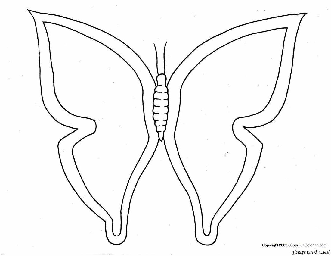 Coloriage d'un papillon aux ailes délicates dans un cadre floral