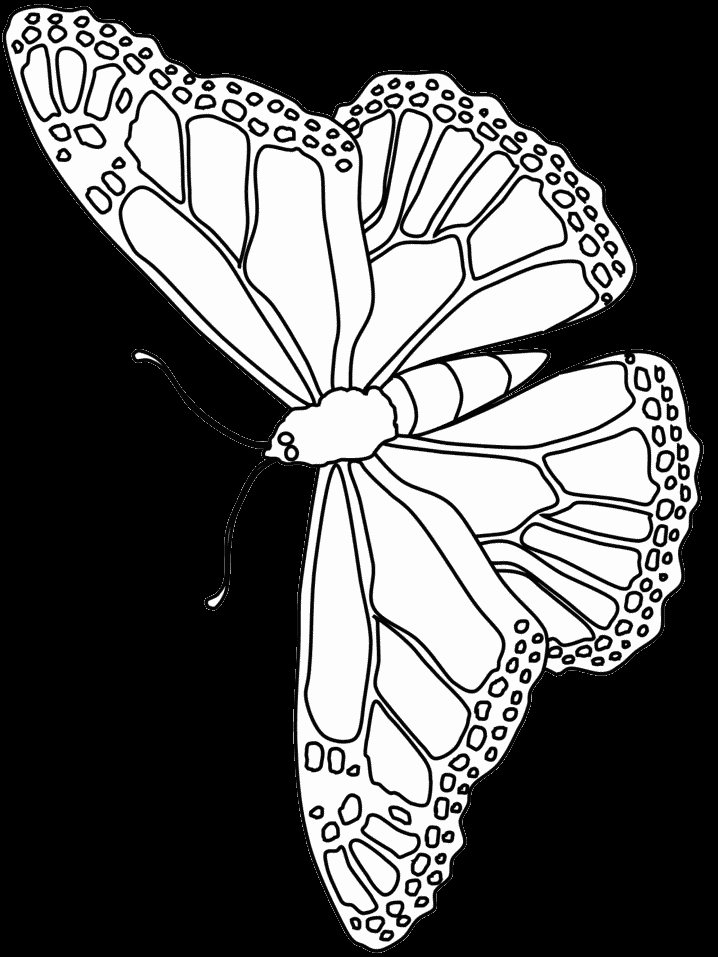 Coloriage d'un papillon stylisé sur fond floral