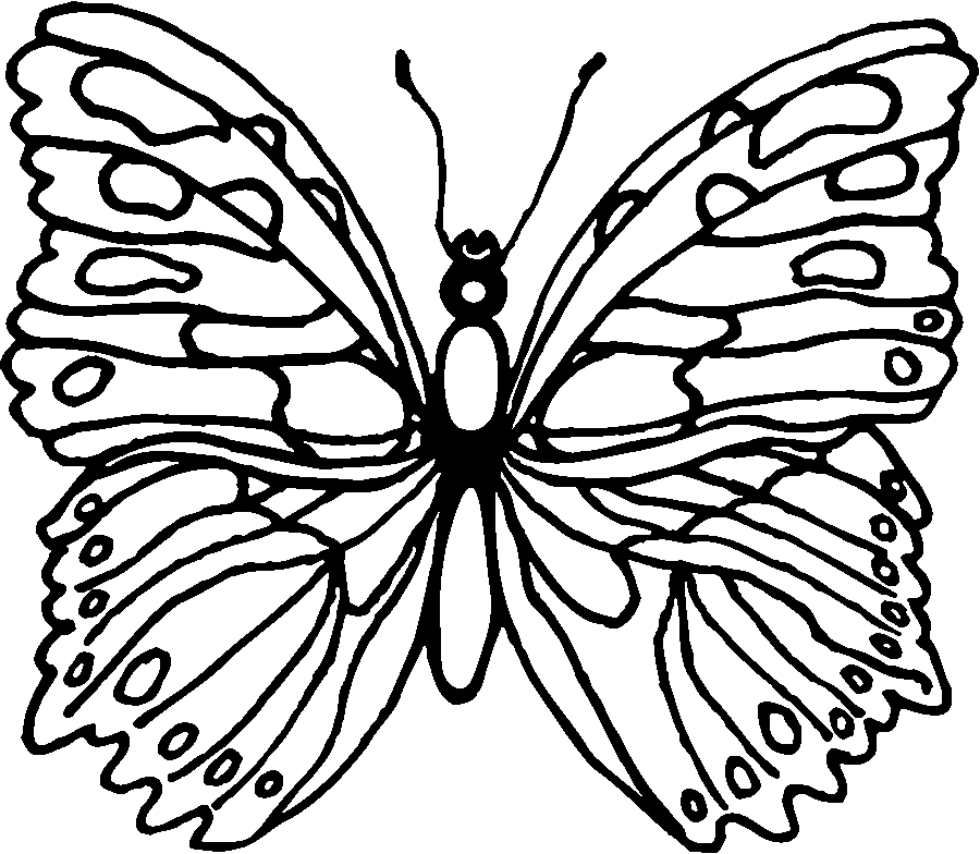 Coloriage d'un papillon posé sur une fleur avec des motifs délicats
