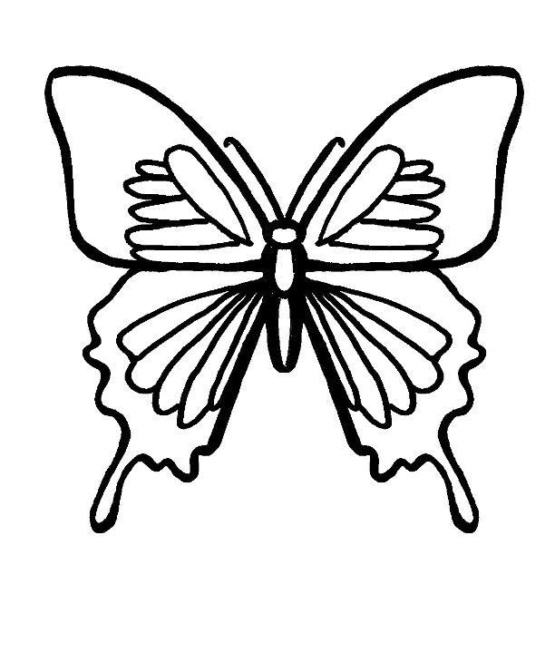 Coloriage d'un papillon posé sur une fleur
