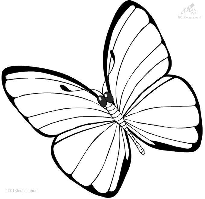 Coloriage de papillon avec motifs et détails floraux