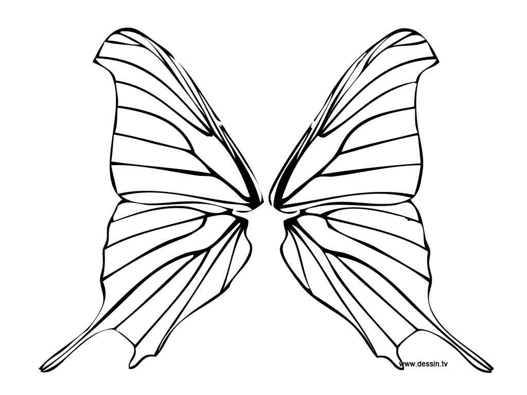Coloriage d'un papillon aux ailes délicates sur fond floral