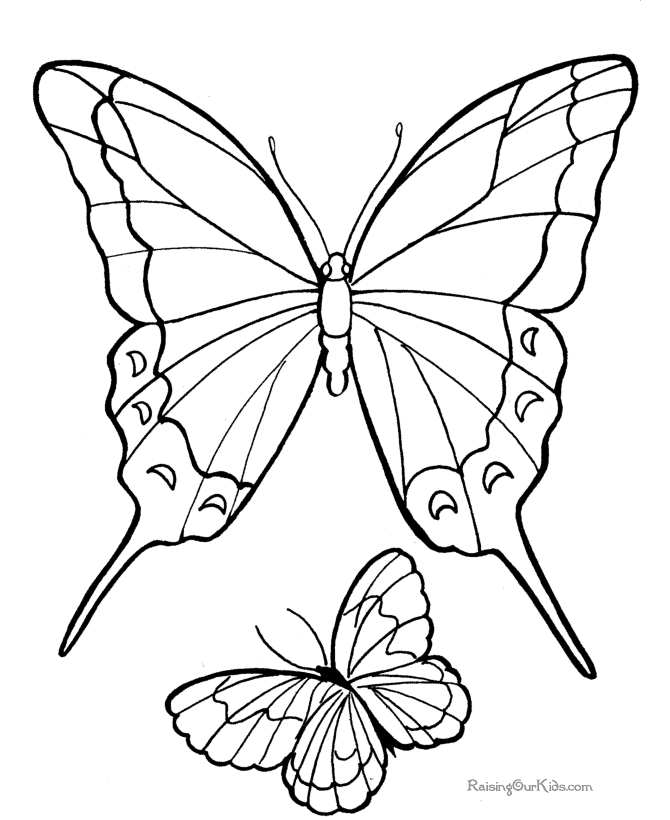 Coloriage d'un papillon délicat sur fond floral
