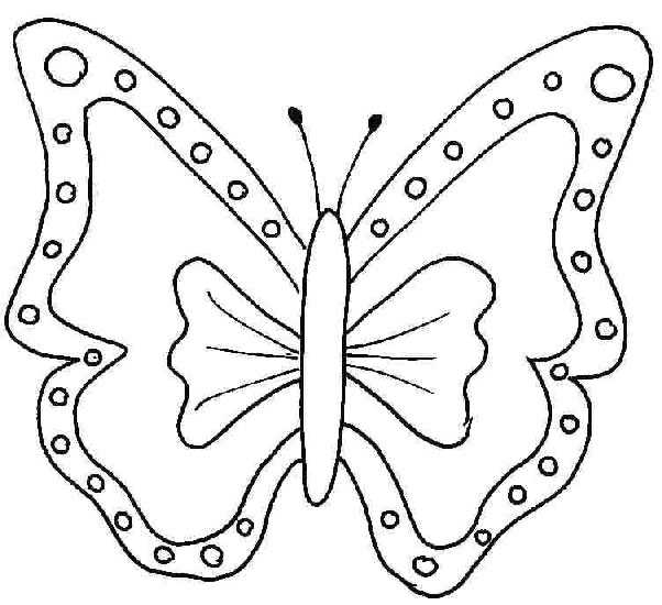 Coloriage d'un papillon stylisé sur fond orné