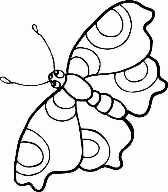 Coloriage d'un papillon stylisé sur fond décoratif