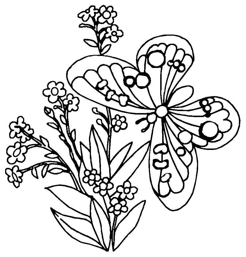 Coloriage d'un papillon dans un cadre floral