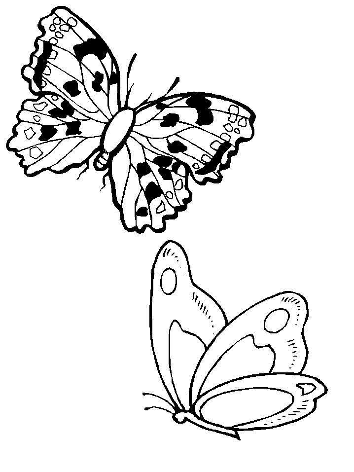 Coloriage d'un papillon délicat sur fond floral