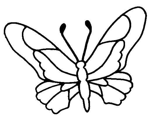 Coloriage d'un papillon aux ailes déployées sur un fond floral
