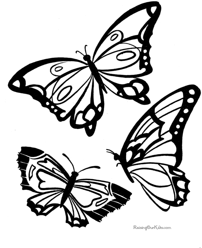 Coloriage d'un papillon aux ailes ornées