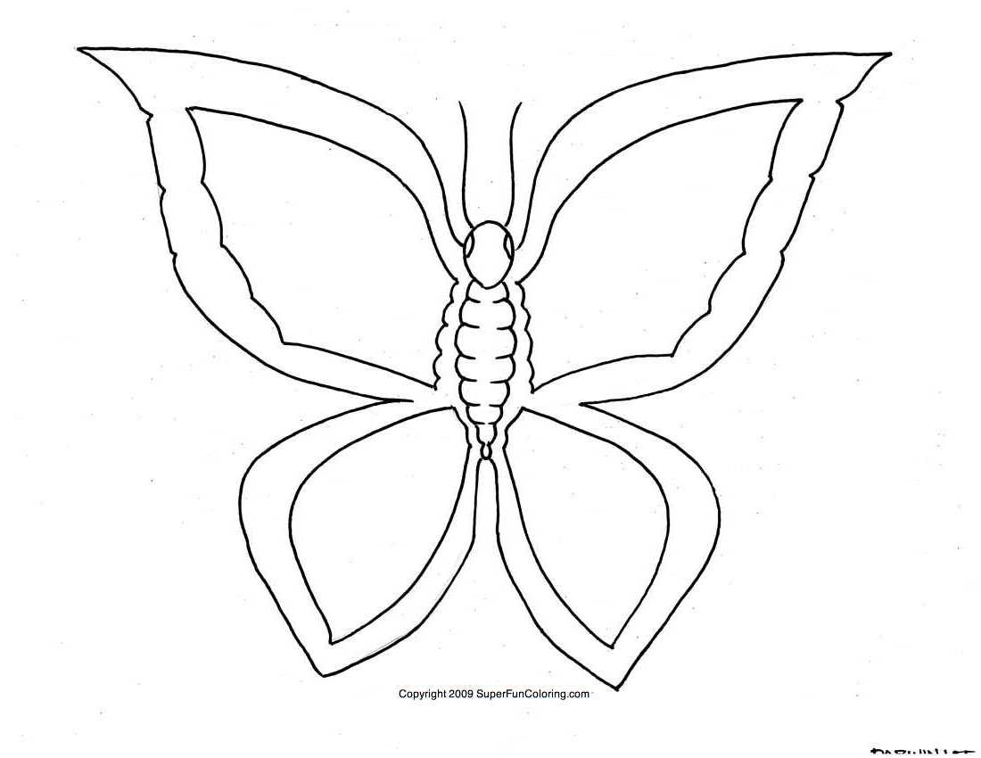 Coloriage de papillon avec motifs floraux et décorations variées