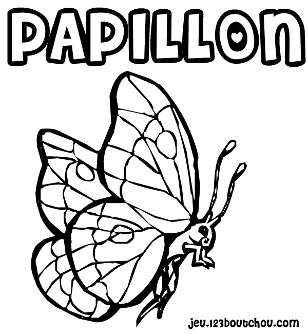 Coloriage d'un papillon élégant sur fond floral