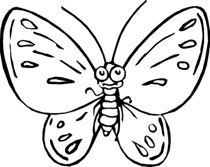 Coloriage d'un papillon stylisé sur fond décoratif