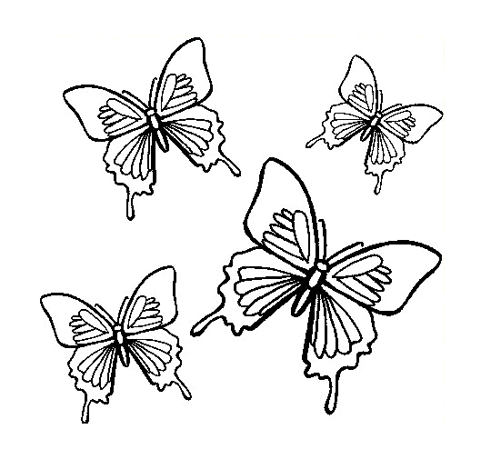 Coloriage d'un papillon posé sur une fleur