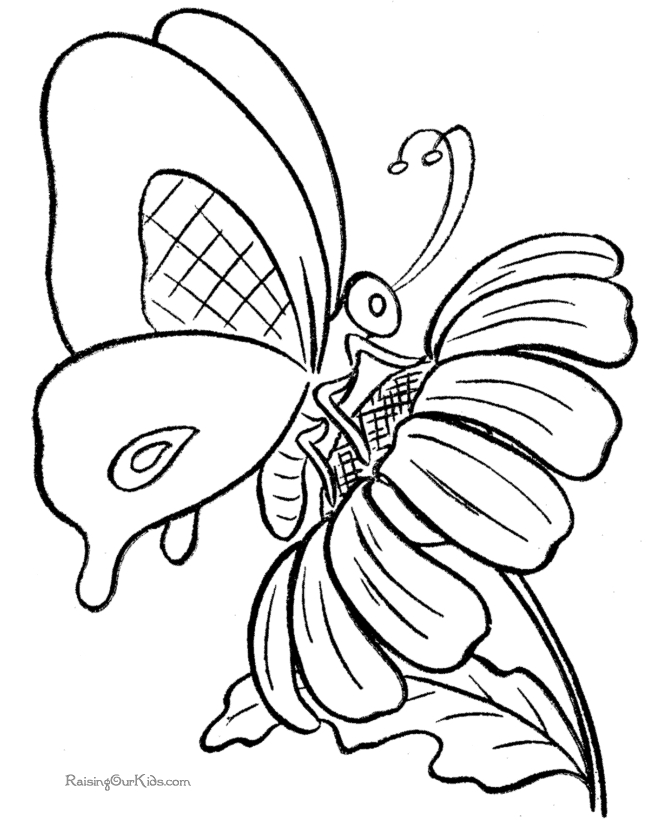 Coloriage d'un papillon sur fond floral