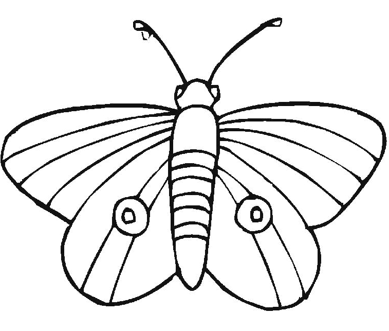 Coloriage d'un papillon aux ailes délicates sur fond floral