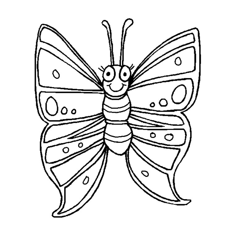 Coloriage d'un papillon aux ailes délicates et ornementées