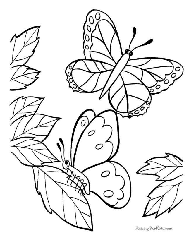 Coloriage d'un papillon aux ailes ornées de motifs détaillés