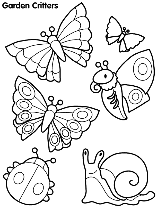 Coloriage d'un papillon élégant aux ailes ornées de motifs variés
