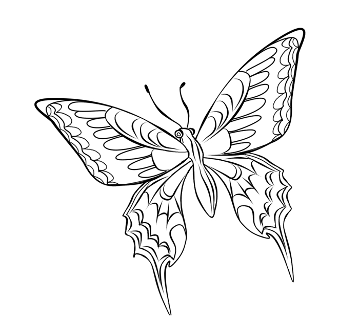 Coloriage d'un papillon aux ailes ornées dans un cadre floral