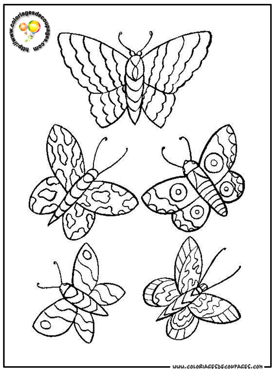 Coloriage d'un papillon aux ailes ornées de motifs variés