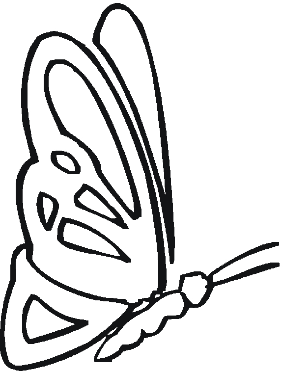 Coloriage d'un papillon délicat sur fond floral