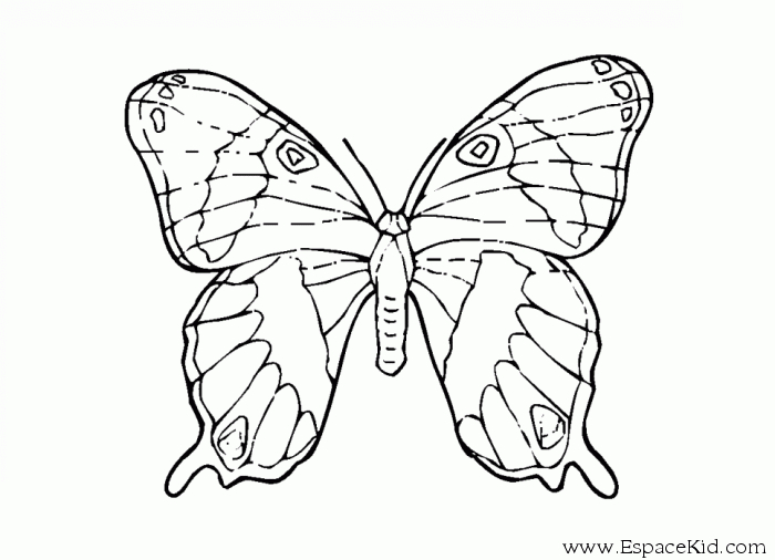 Coloriage d'un papillon décoratif sur fond de fleurs
