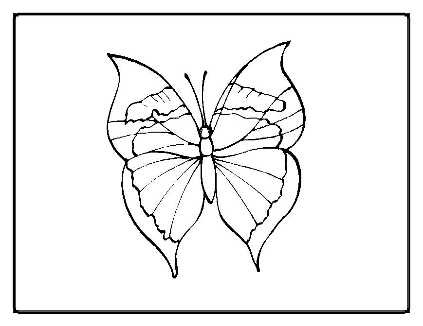 Coloriage d'un papillon élégant sur fond floral