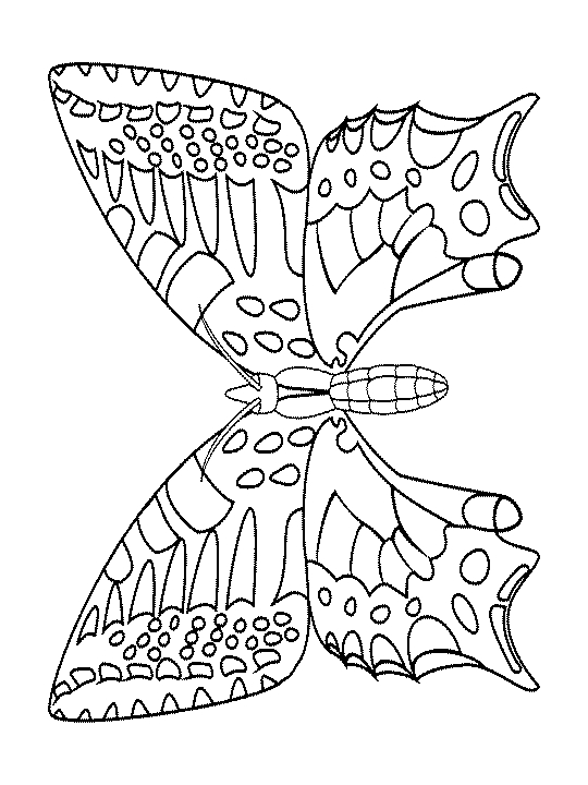 Coloriage d'un papillon élégant sur un fond floral
