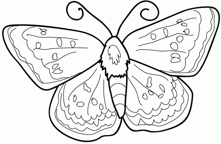 Coloriage d'un papillon aux ailes déployées sur fond floral