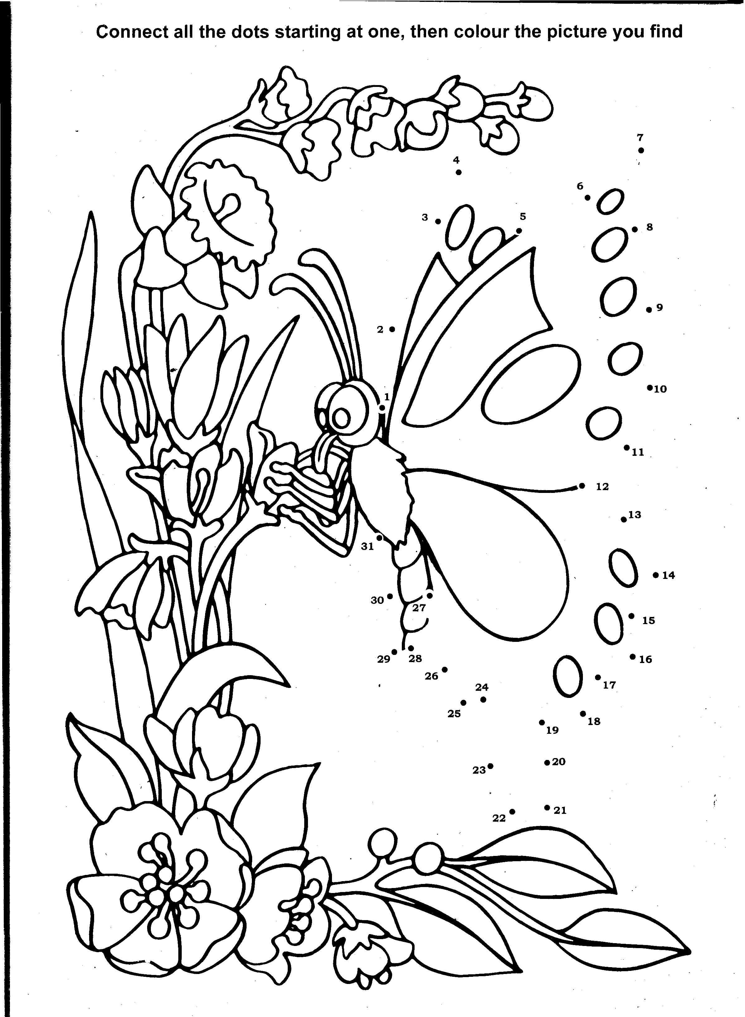Coloriage d'un papillon aux ailes ornées de motifs délicats
