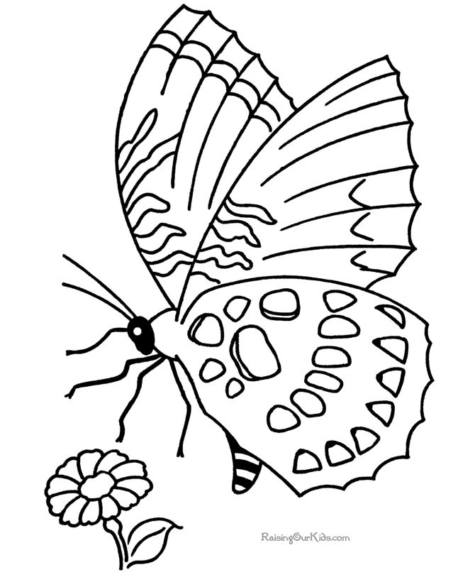 Coloriage d'un papillon sur un fond floral stylisé