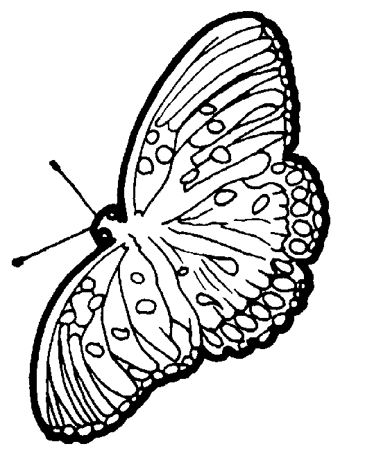 Coloriage d'un papillon délicat sur un fond floral