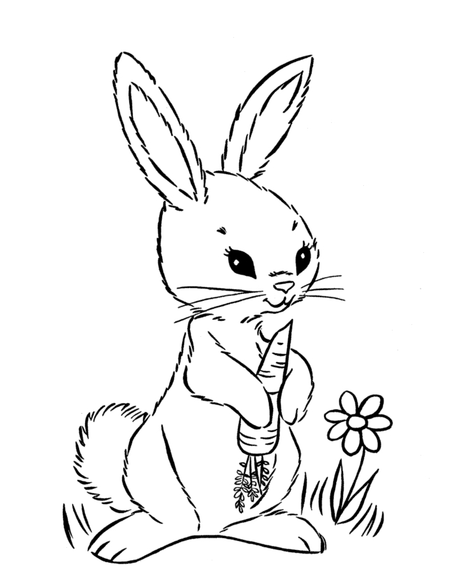 Scène de Pâques avec un lapin et des œufs colorés dans un jardin