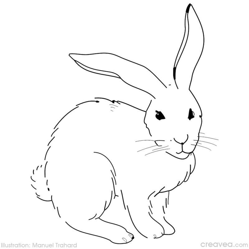 Scène de Pâques avec un lapin et des œufs colorés dans un jardin