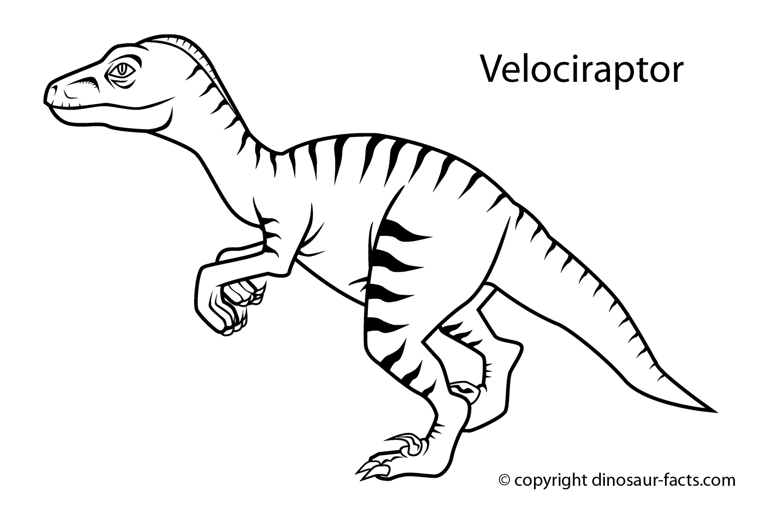 Un dinosaure herbivore se nourrit paisiblement dans un décor préhistorique Un dinosaure herbivore se nourrit paisiblement dans un décor préhistorique