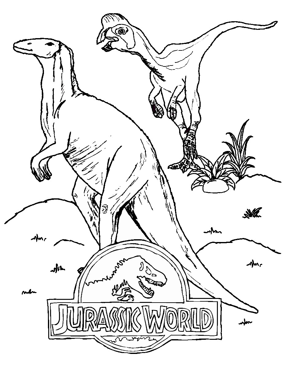 Dinosaures en pleine exploration dans un parc jurassique Dinosaures en pleine exploration dans un parc jurassique