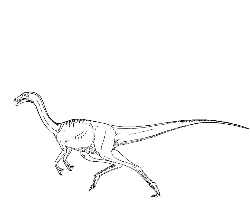 Coloriage d'un dinosaure dans un décor préhistorique Coloriage d'un dinosaure dans un décor préhistorique