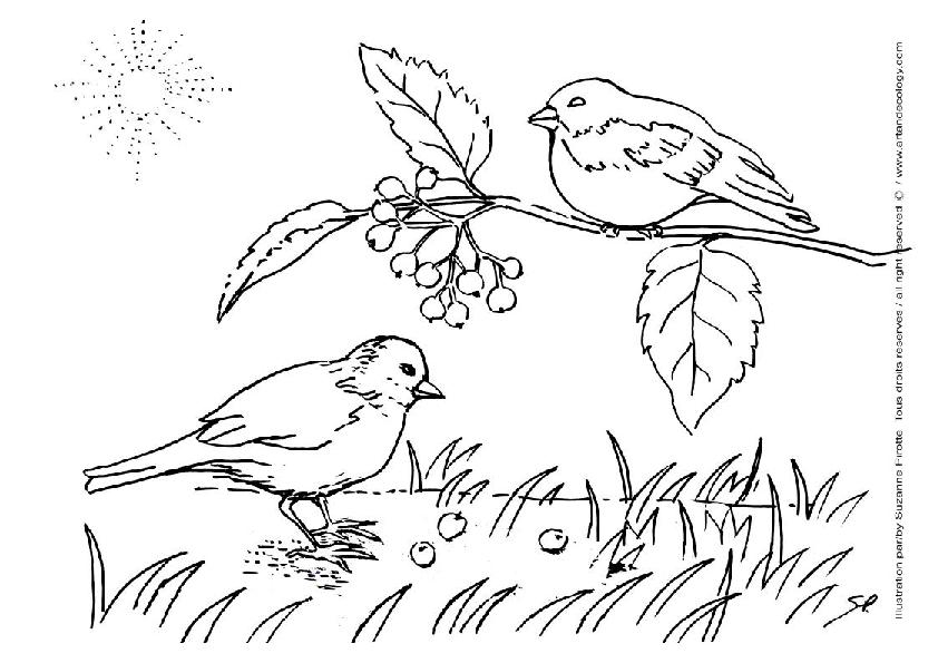Coloriage paysage avec montagnes et un lac tranquille