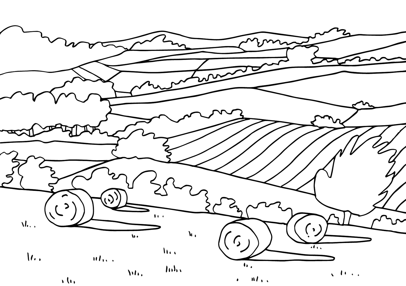 Scène de paysage naturel avec un lac et des montagnes en arrière-plan