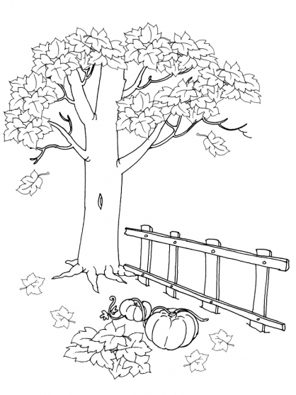 Coloriage d'un paysage naturel avec montagnes et arbres