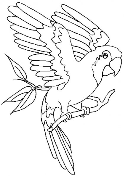 Coloriage d'un perroquet sur une branche entouré de feuilles