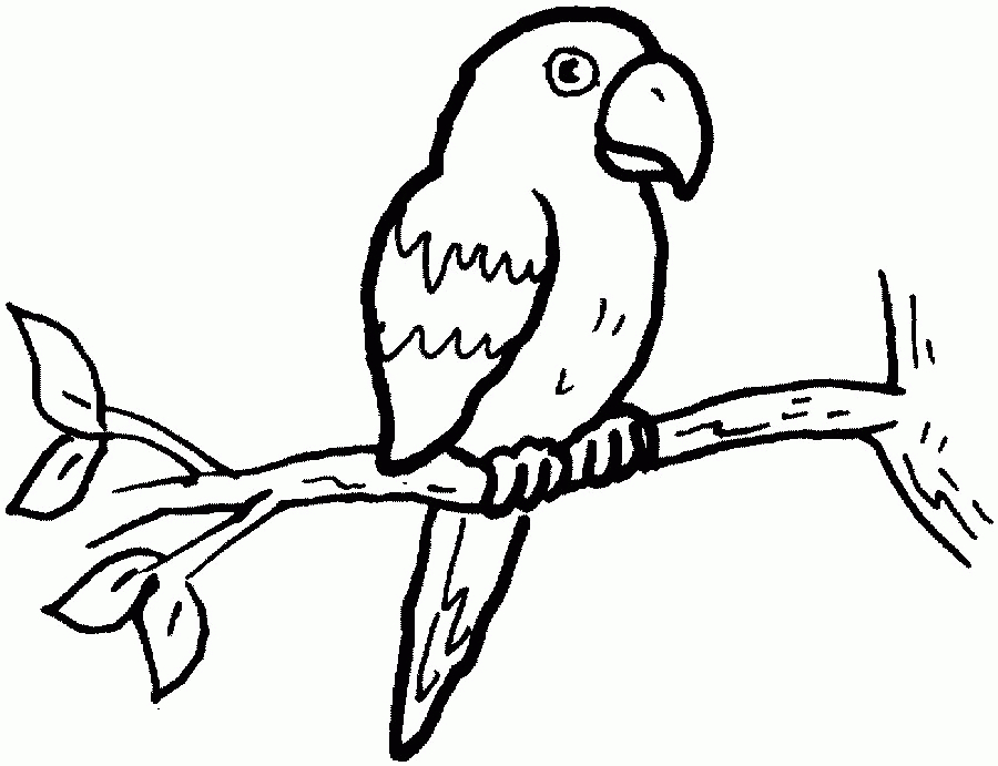 Un perroquet coloré perché sur une branche, entouré de feuillage luxuriant