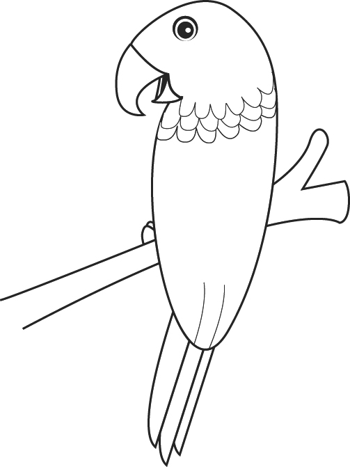 Coloriage d'un perroquet perché sur une branche avec un fond végétal