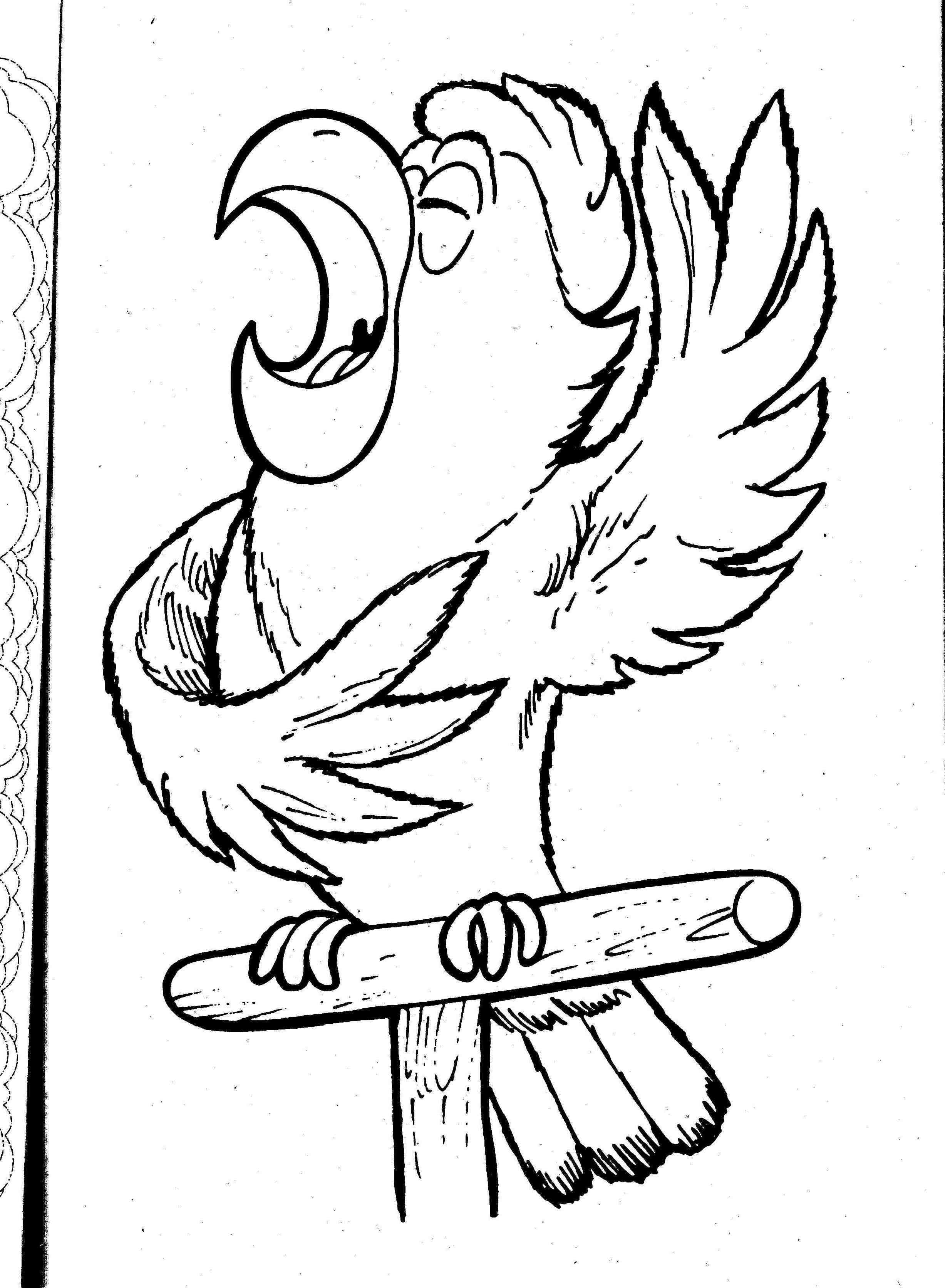Coloriage d'un perroquet perché sur une branche