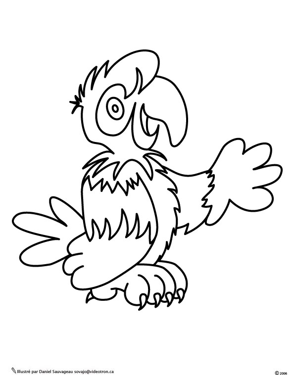 Coloriage d'un perroquet perché sur une branche dans son habitat naturel