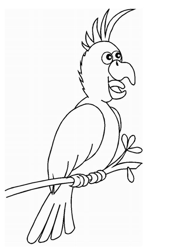 Coloriage d'un perroquet perché sur une branche avec des feuillages