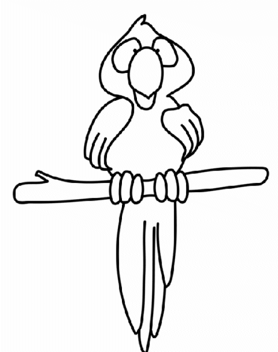 Coloriage d'un perroquet perché sur une branche