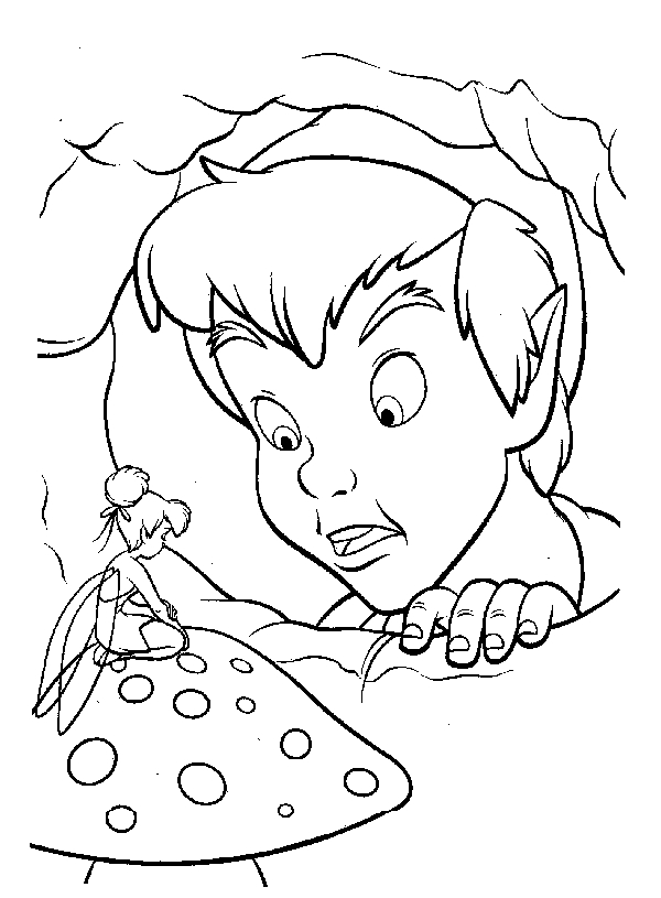 Peter Pan volant au-dessus de Neverland avec la fée Clochette