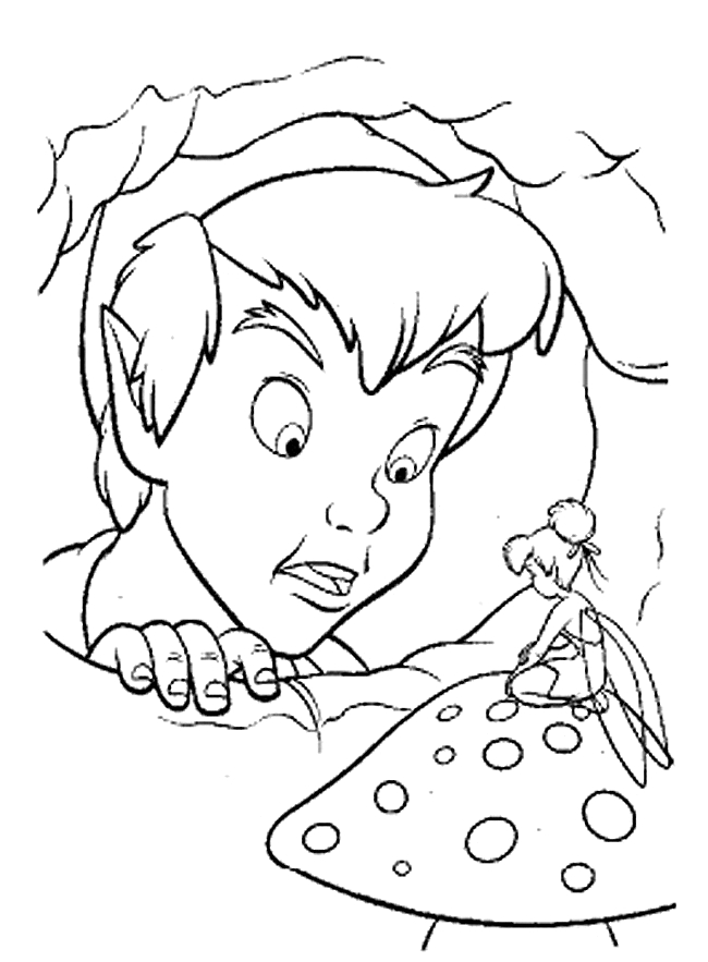 Peter Pan volant au-dessus de Neverland avec fée Clochette